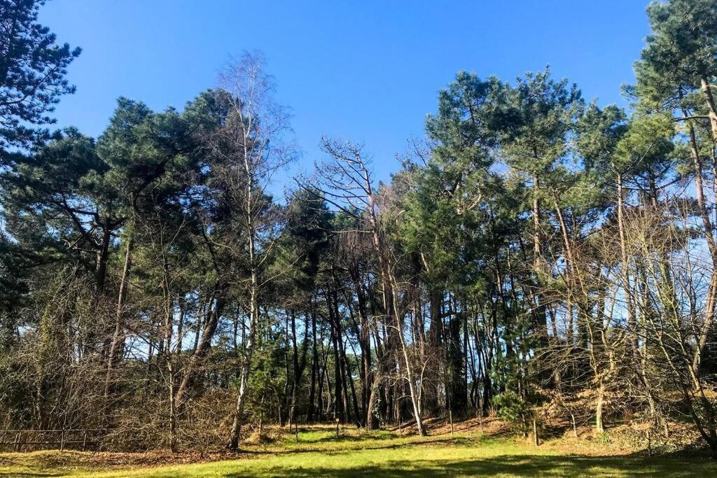 Villa Les Lutins Le Touquet Екстер'єр фото